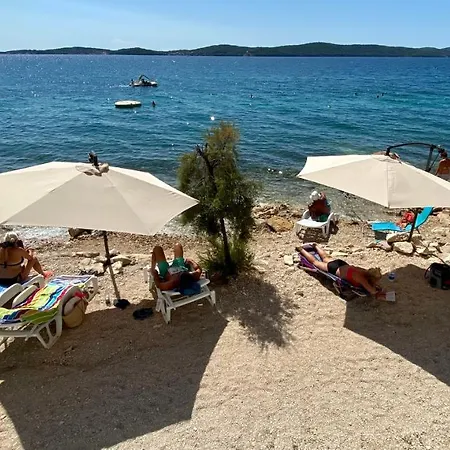 Olea Bibinje