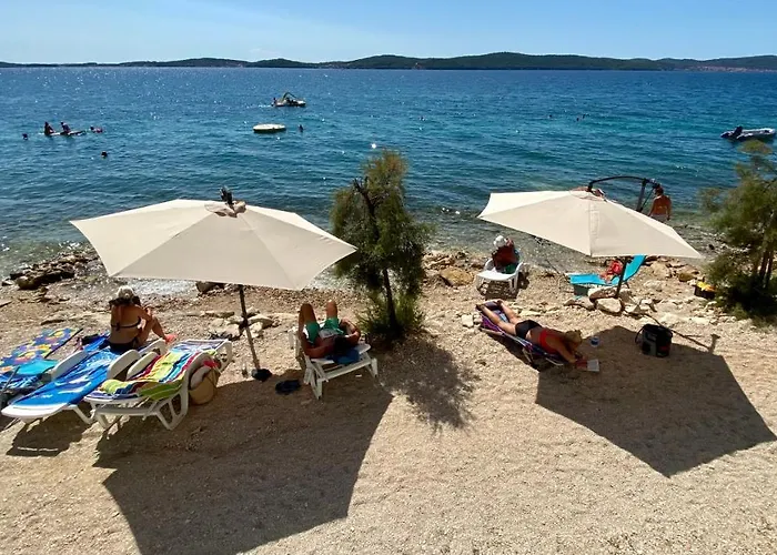 Olea Bibinje