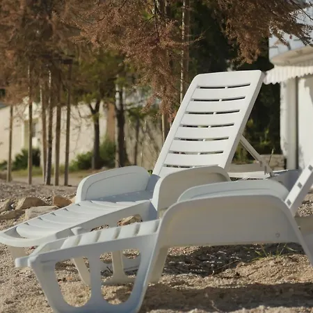 Olea * Bibinje